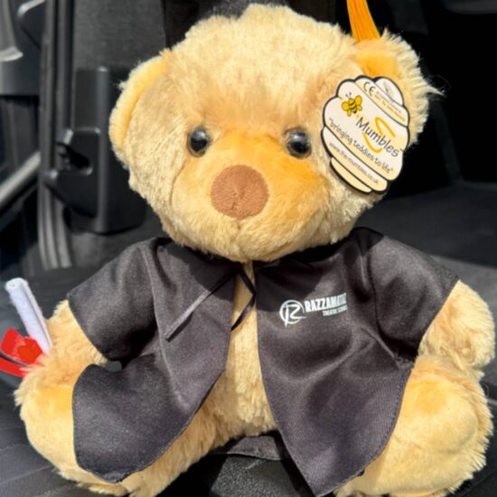 Graduation Bear